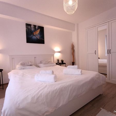 Cozy Apartment City Center Bucarest Esterno foto